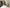 Product Picture GRANIT NARA 60x120 cm / VENUS BIANCO - NA62MG025
