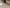 Product Picture GRANITE CREAM POLOS FRONTINO 60x60 FR6000 - PROMO DISCOUNT SUPER SALE