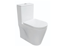 Product Picture Rigel One Piece Water Closet WO9030FA